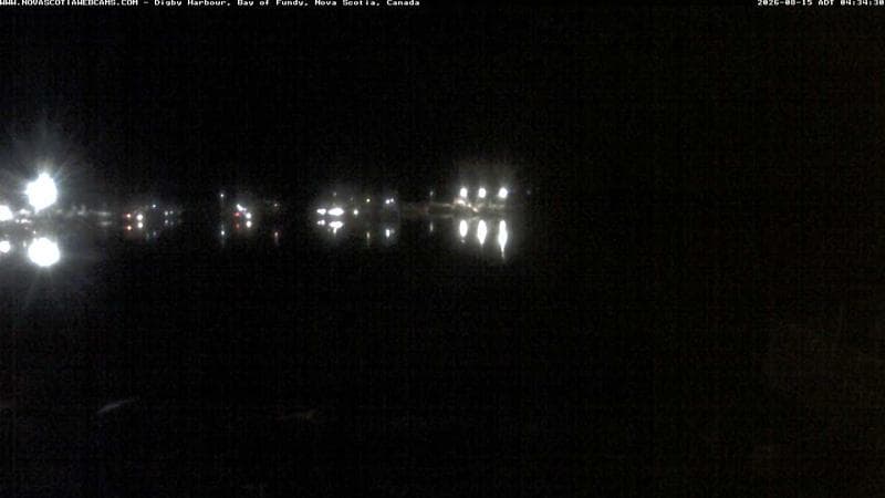 Digby Harbour