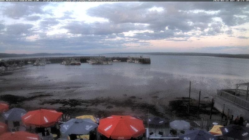 Digby Harbour