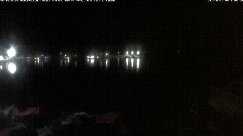 Digby Harbour