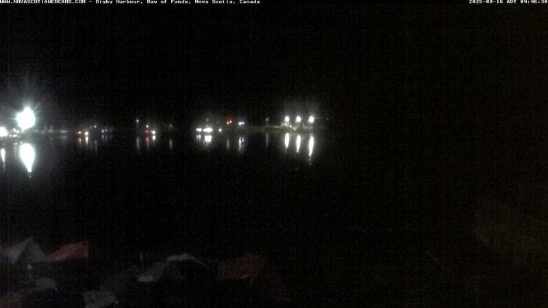 Digby Harbour