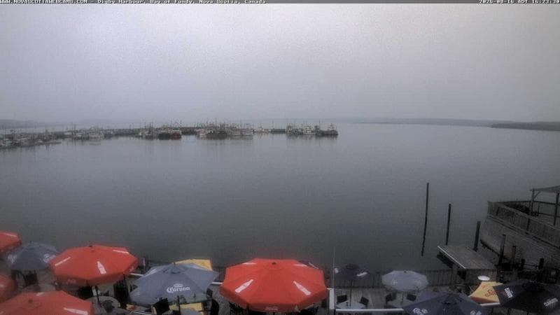 Digby Harbour