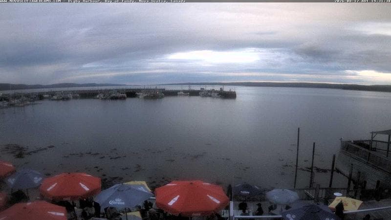 Digby Harbour