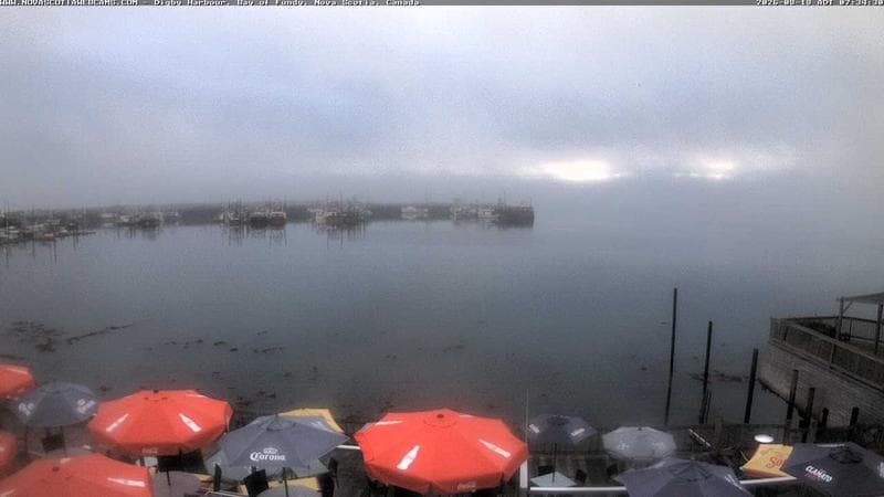 Digby Harbour