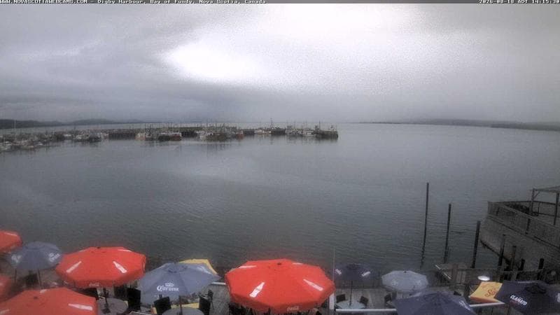 Digby Harbour