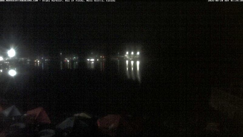 Digby Harbour