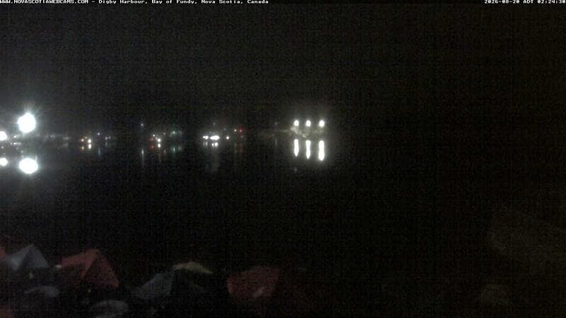 Digby Harbour