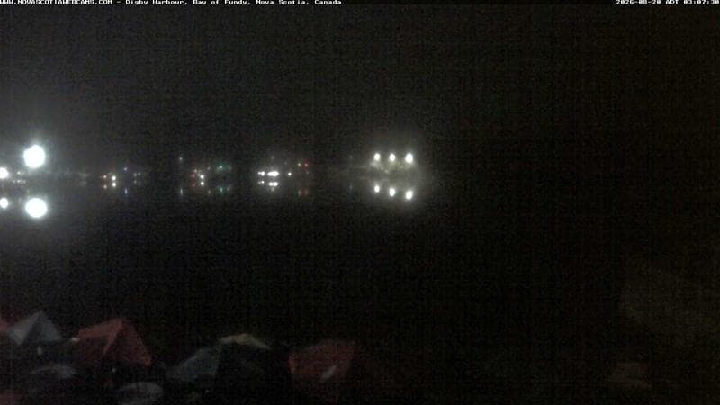 Digby Harbour