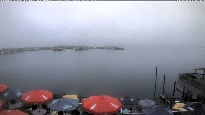 Digby Harbour