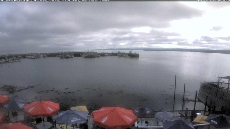 Digby Harbour