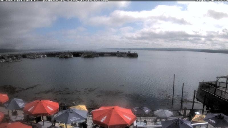 Digby Harbour