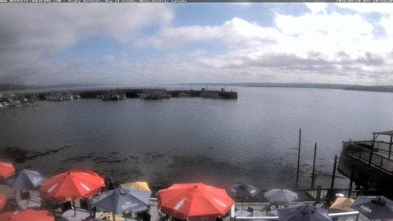 Digby Harbour