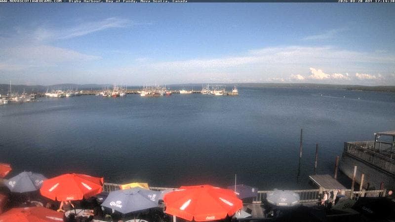 Digby Harbour