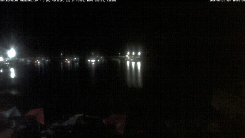 Digby Harbour