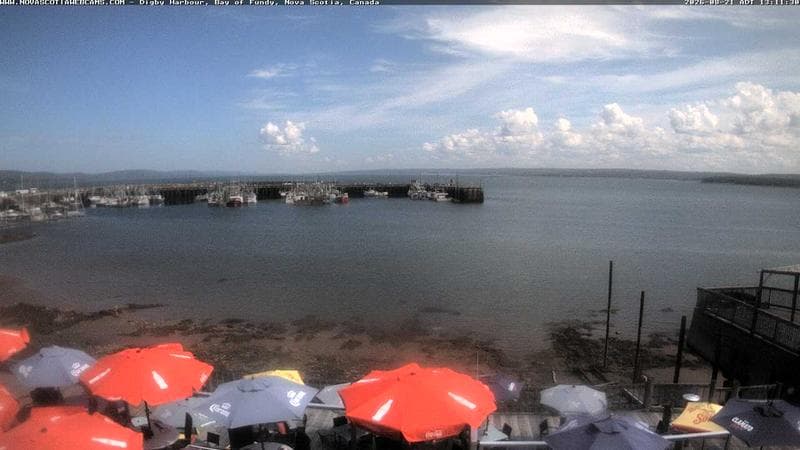 Digby Harbour