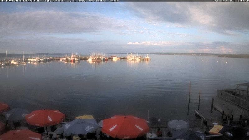 Digby Harbour