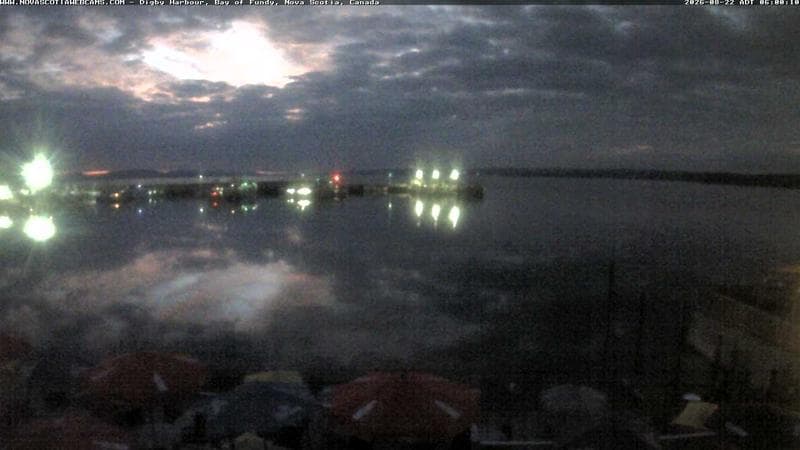 Digby Harbour