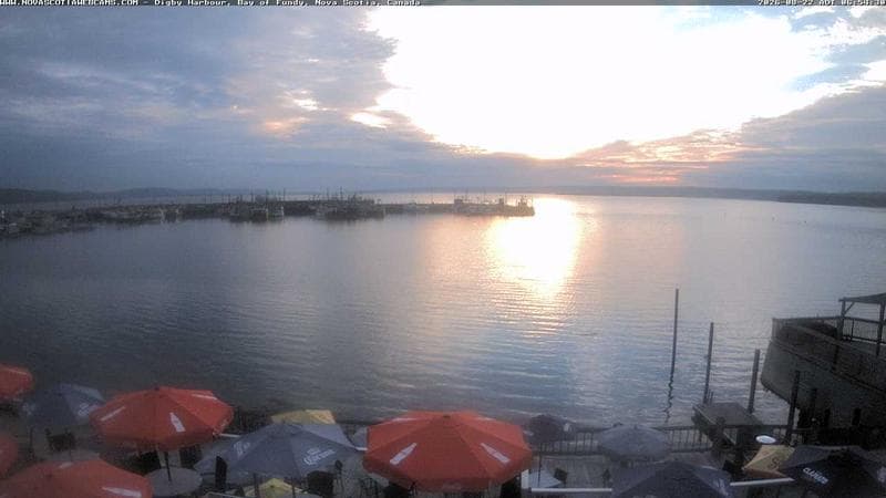 Digby Harbour