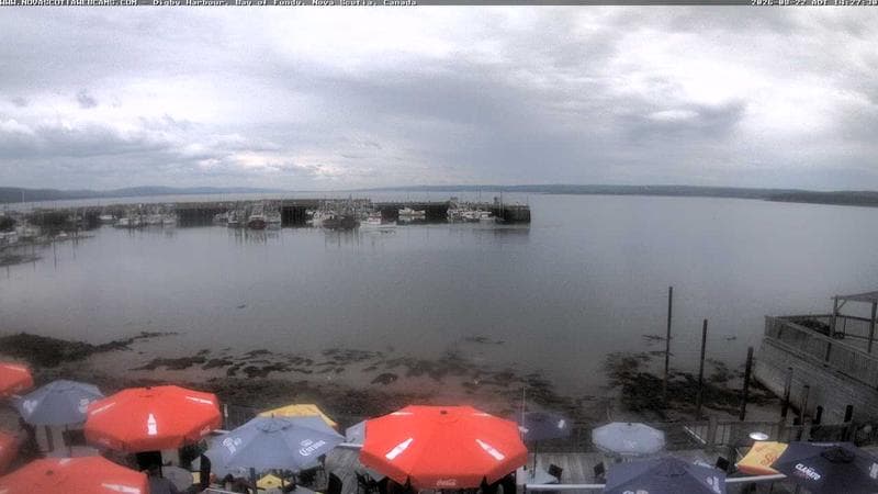 Digby Harbour