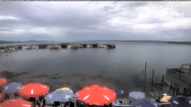Digby Harbour