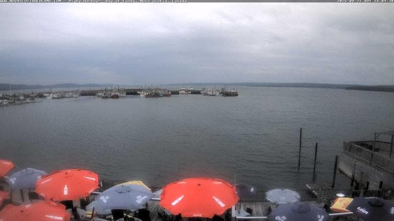 Digby Harbour