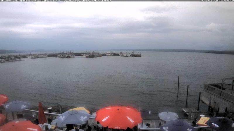 Digby Harbour