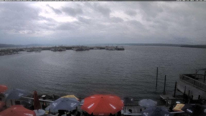 Digby Harbour