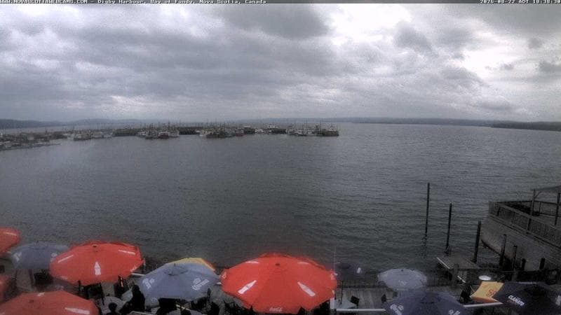 Digby Harbour