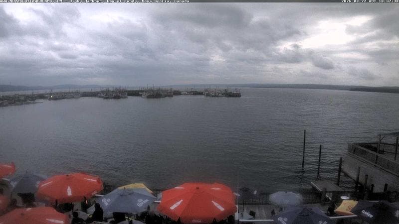 Digby Harbour