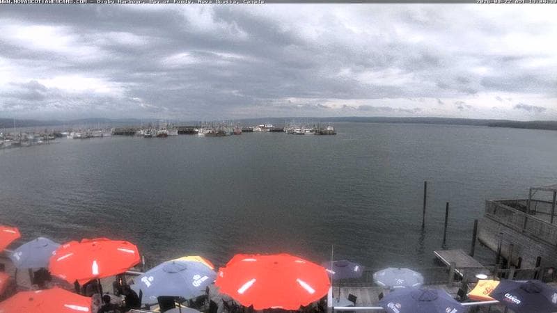 Digby Harbour