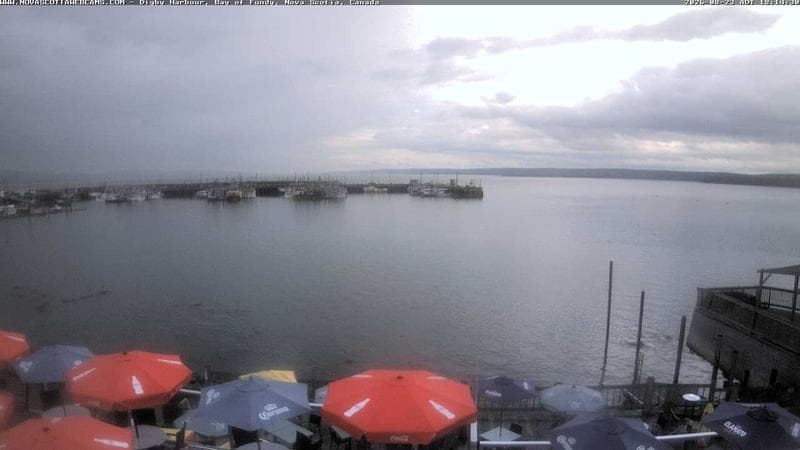 Digby Harbour