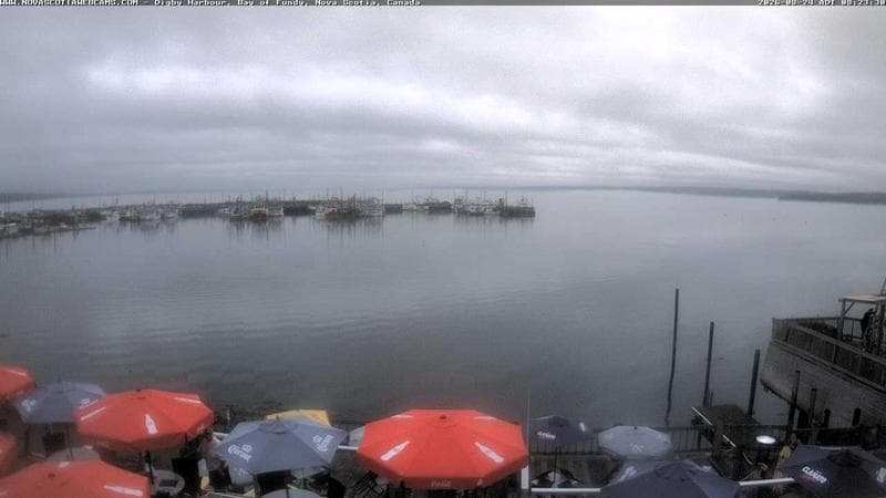 Digby Harbour