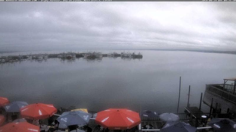 Digby Harbour