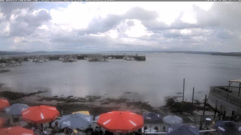 Digby Harbour