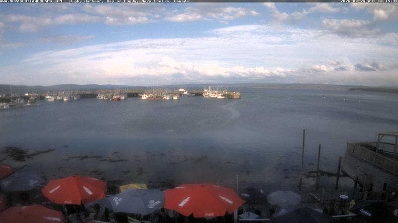 Digby Harbour