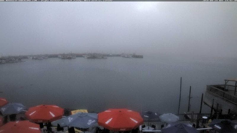 Digby Harbour