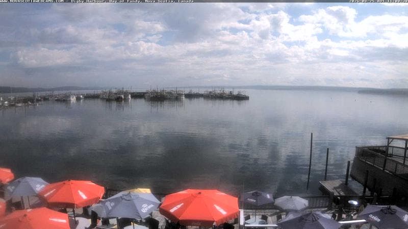 Digby Harbour