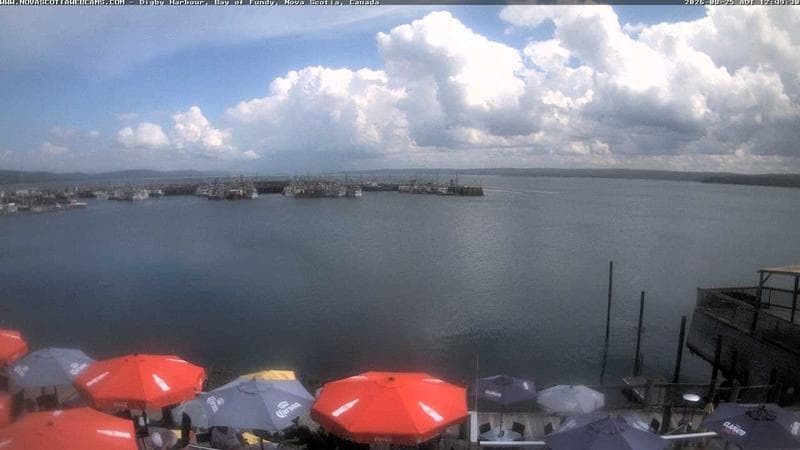 Digby Harbour