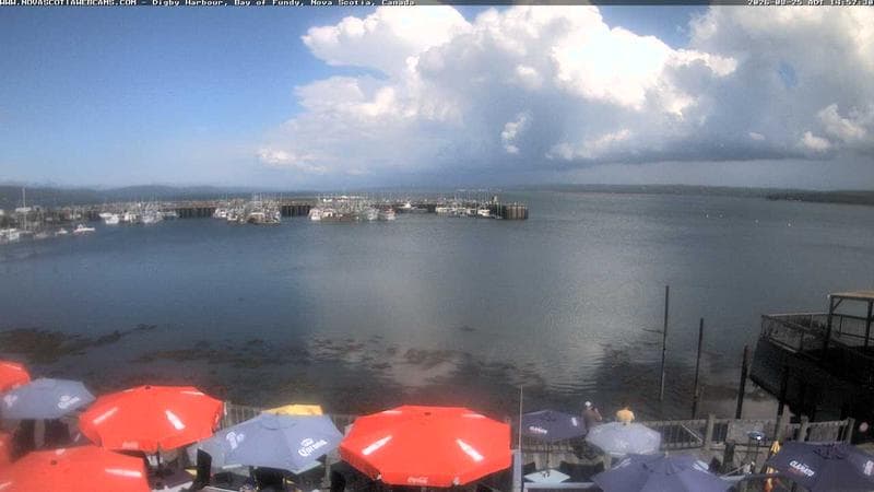 Digby Harbour