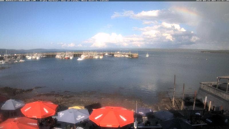 Digby Harbour