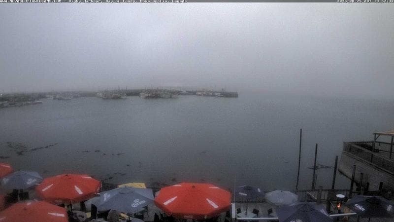Digby Harbour