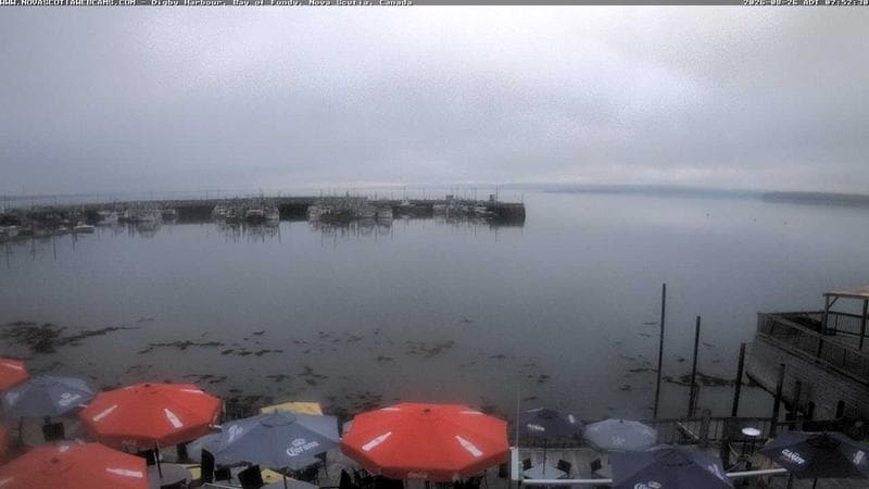 Digby Harbour