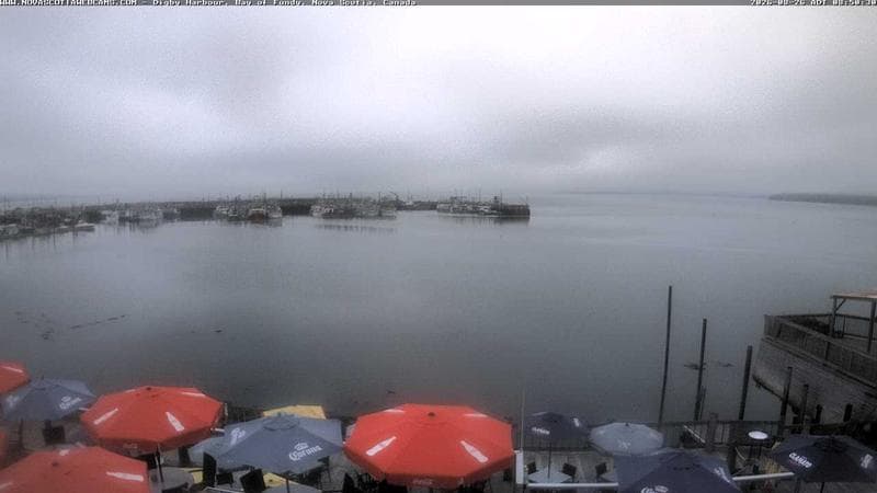 Digby Harbour
