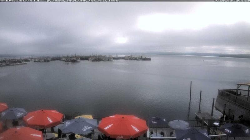 Digby Harbour