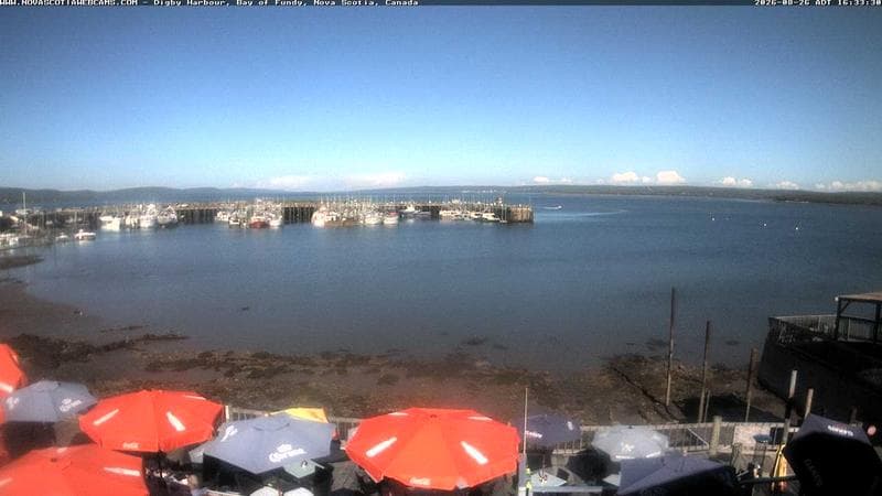 Digby Harbour
