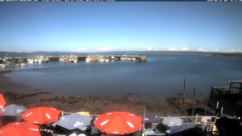 Digby Harbour