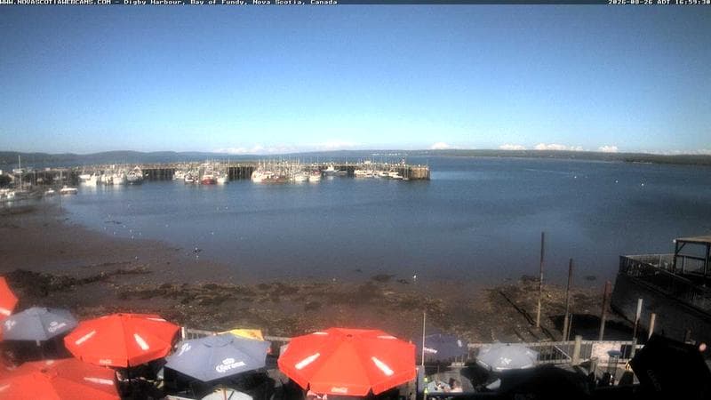Digby Harbour