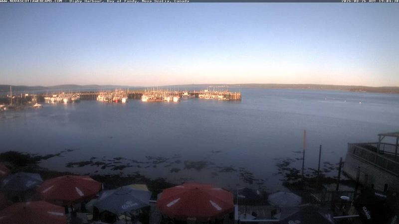 Digby Harbour