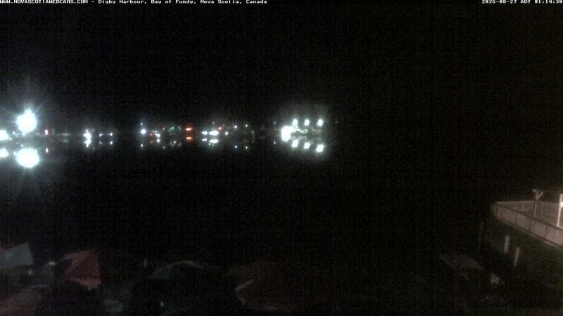 Digby Harbour
