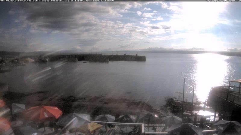 Digby Harbour