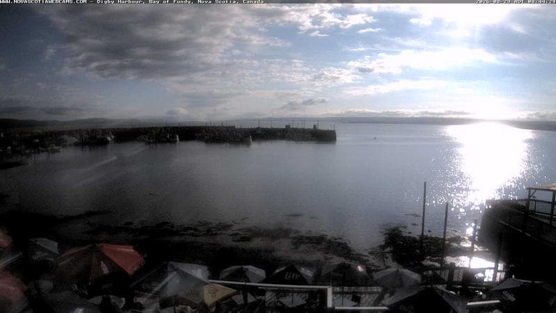 Digby Harbour